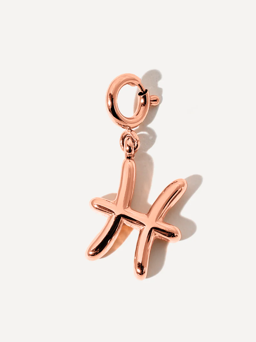 Classic Zodiac Ketten-Charms - Image 40